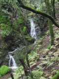 /pix/2012/tam1545a.jpg