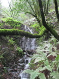 /pix/2012/tam1547a.jpg
