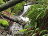/pix/2012/tam1550a.jpg