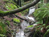 /pix/2012/tam1551a.jpg