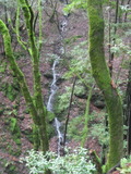 /pix/2012/tam1553a.jpg