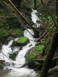 /pix/2012/tam1555a.jpg