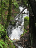 /pix/2012/tam1557a.jpg