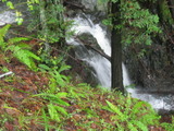 /pix/2012/tam1559a.jpg