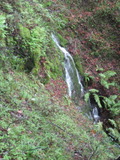 /pix/2012/tam1566a.jpg