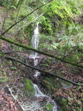 /pix/2012/tam1568a.jpg