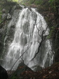 /pix/2012/tam1569a.jpg