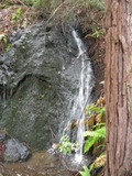 /pix/2012/tam1575a.jpg