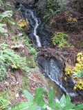 /pix/2012/tam1577a.jpg