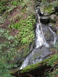 /pix/2012/tam1581a.jpg