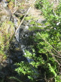 /pix/2012/tam1587a.jpg