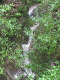 /pix/2012/trampas1589a.jpg