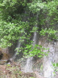 /pix/2012/trampas1593a.jpg