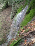 /pix/2012/trampas1597a.jpg
