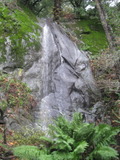 /pix/2012/trampas1600a.jpg