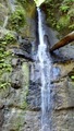 /pix/2013/nisene131132_056a.jpg