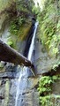 /pix/2013/nisene131304_675a.jpg