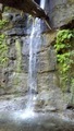 /pix/2013/nisene131311_815a.jpg