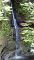 /pix/2013/nisene132107_418a.jpg
