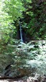 /pix/2013/nisene132146_500a.jpg