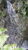 /pix/2014/bigrock1811a.jpg