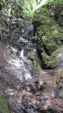 /pix/2014/bigrock1839a.jpg