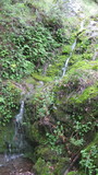 bigrock1841a.jpg
