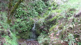 bigrock1843a.jpg