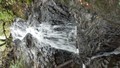 tam135843_699.jpg