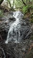 /pix/2014/tam135847_957.jpg