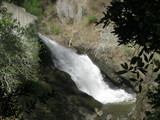 /pix/2014/tam1789a.jpg