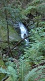 tam150542_545.jpg