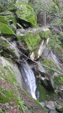 skyline2441a.jpg