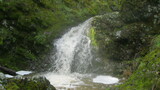 /pix/2023/coe14.21.13a.jpg