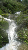 /pix/2023/coe14.23.30a.jpg