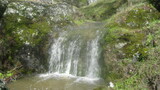 /pix/2023/coe14.42.37a.jpg
