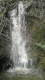 /pix/2023/coe15.23.25a.jpg