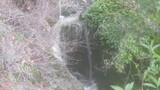 /pix/2023/coe16.35.48a.jpg