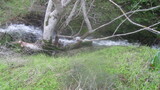 /pix/2023/diablo15.43.07a.jpg