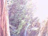bigbasin1.jpg