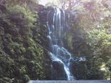 bigbasin5.jpg
