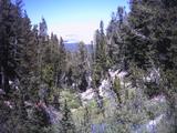 buddcreek3.jpg