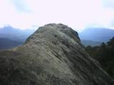 castle8.jpg