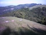 highland_trail2.jpg