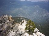lookout2.jpg