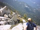 lookout3.jpg