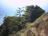 lostcoast11.jpg