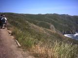 muirbeach1.jpg