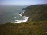 muirbeach3.jpg