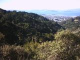 orinda1.jpg
